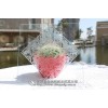 （高档）玻璃蒙砂膏